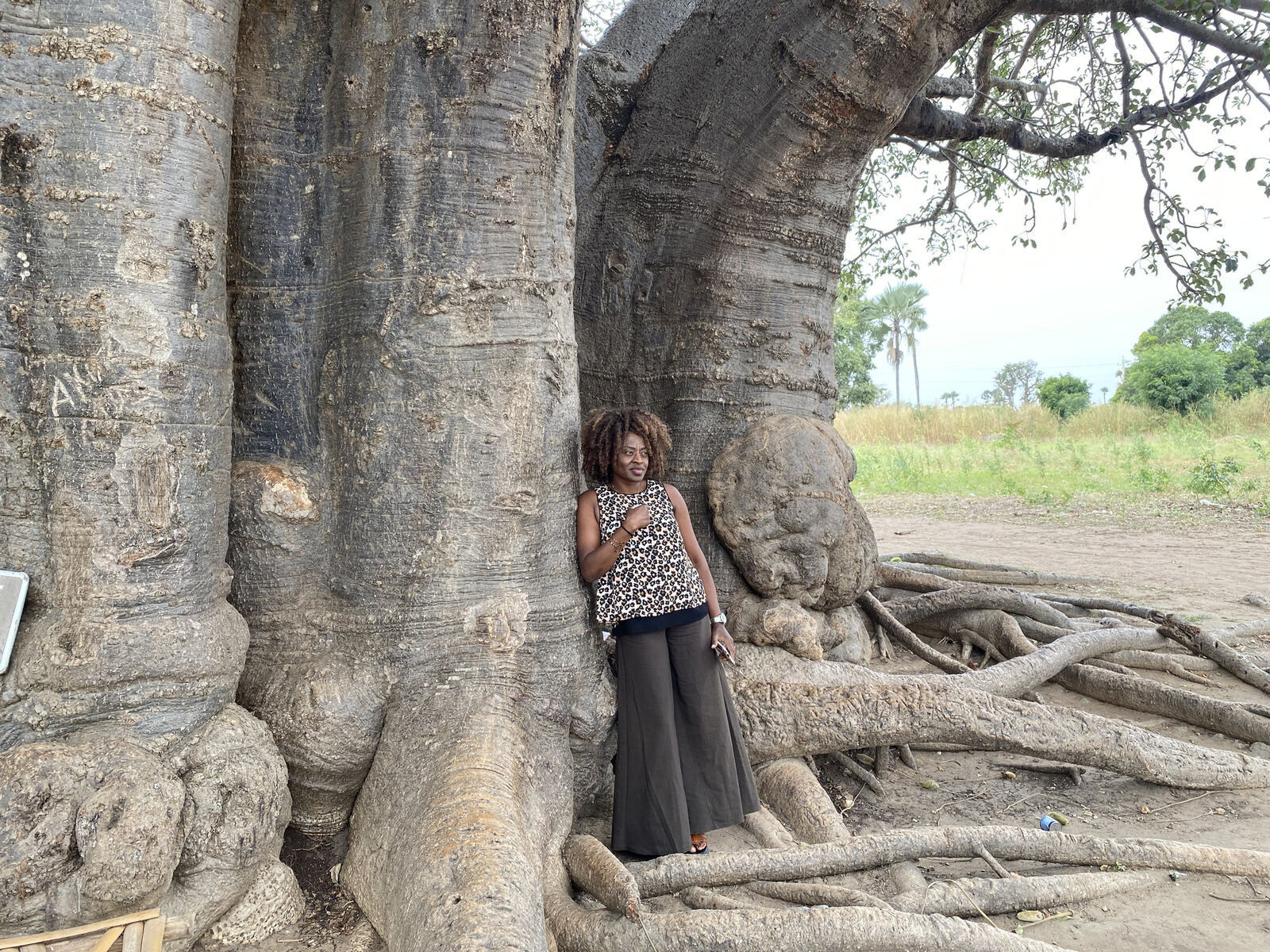 Le baobab sacré de Fadial